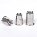 Stainless Steel 304 316 Thread Blind Rivet Nuts